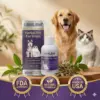 Herbal Pet Ear Drops