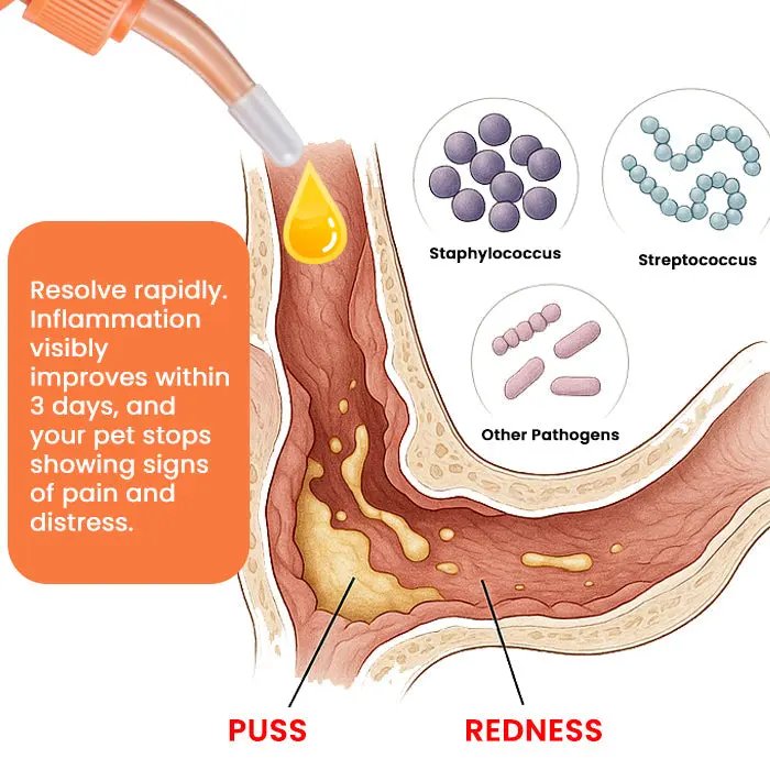 EarEase Herbal Drops - Image 8