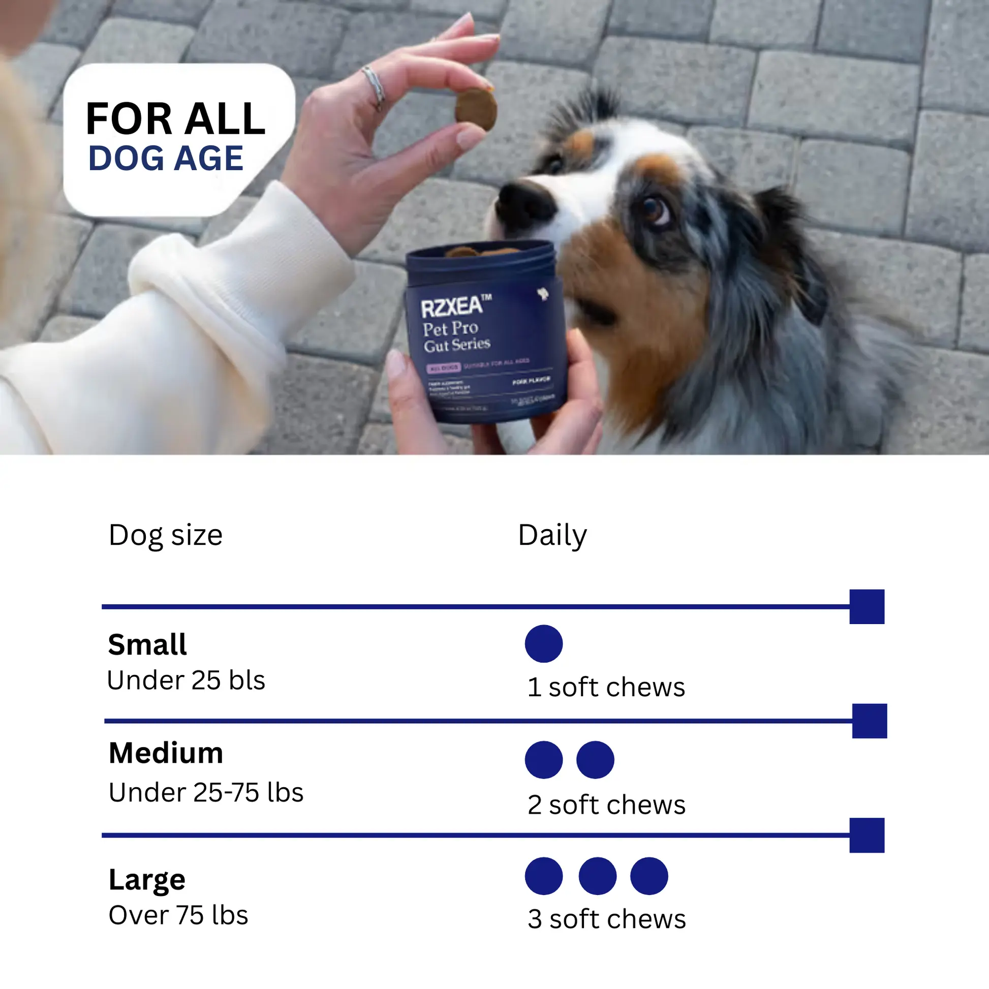 Pet Pro-Gut Series - Image 4