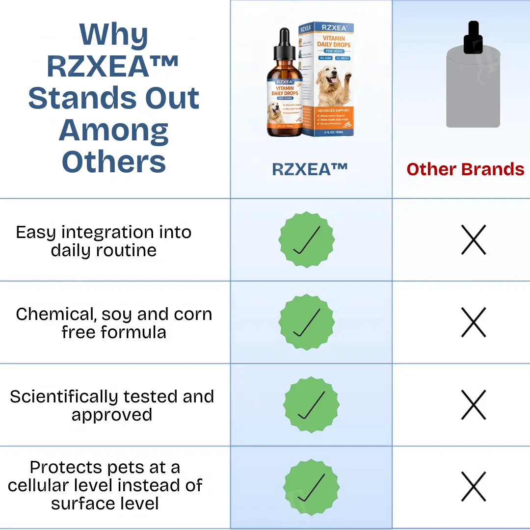 Vitamin Daily Drops - Image 6