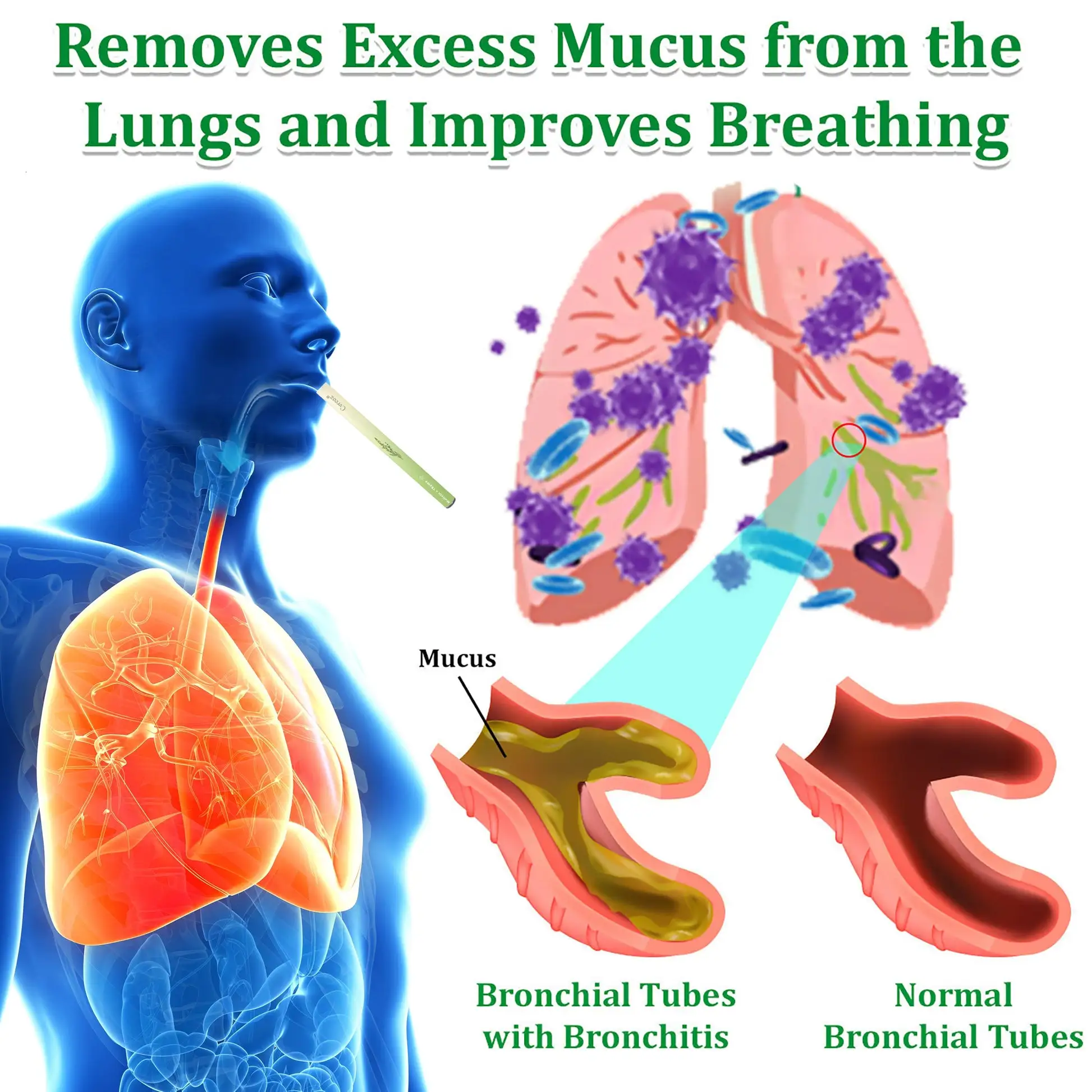 ๐๐ฎ๐ฅ๐ฅ๐๐ข๐ง ๐๐๐ซ๐๐๐ฅ ๐๐ฎ๐ง๐ ๐๐ฎ๐ซ๐ข๐๐ข๐๐ซ - Image 6