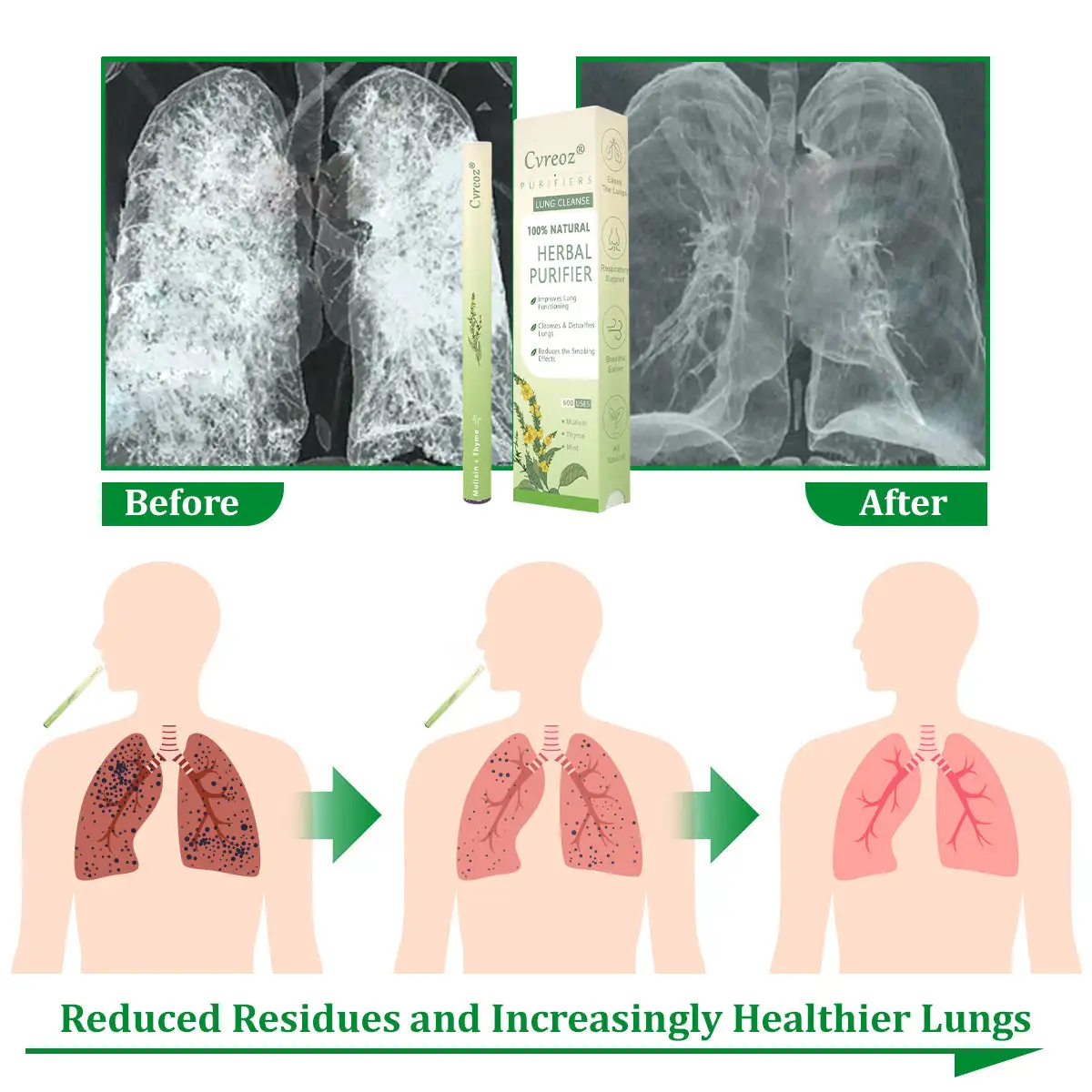 ๐๐ฎ๐ฅ๐ฅ๐๐ข๐ง ๐๐๐ซ๐๐๐ฅ ๐๐ฎ๐ง๐ ๐๐ฎ๐ซ๐ข๐๐ข๐๐ซ - Image 8