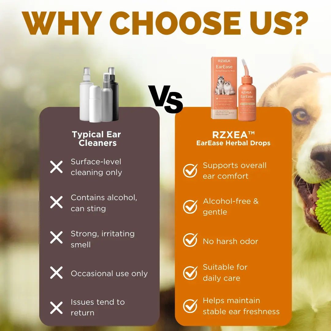 EarEase Herbal Drops (ππ ππ½π½ ππ‘ππ¦ ππ‘ ππ¬ π ππ‘π¨π§ππ¦) - Image 8