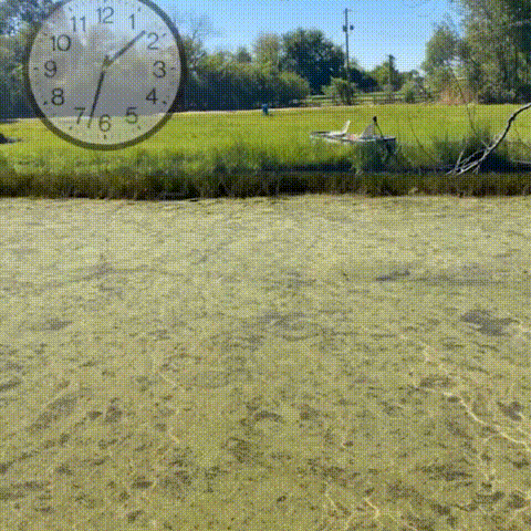 Water Clarifying Powder - Image 3