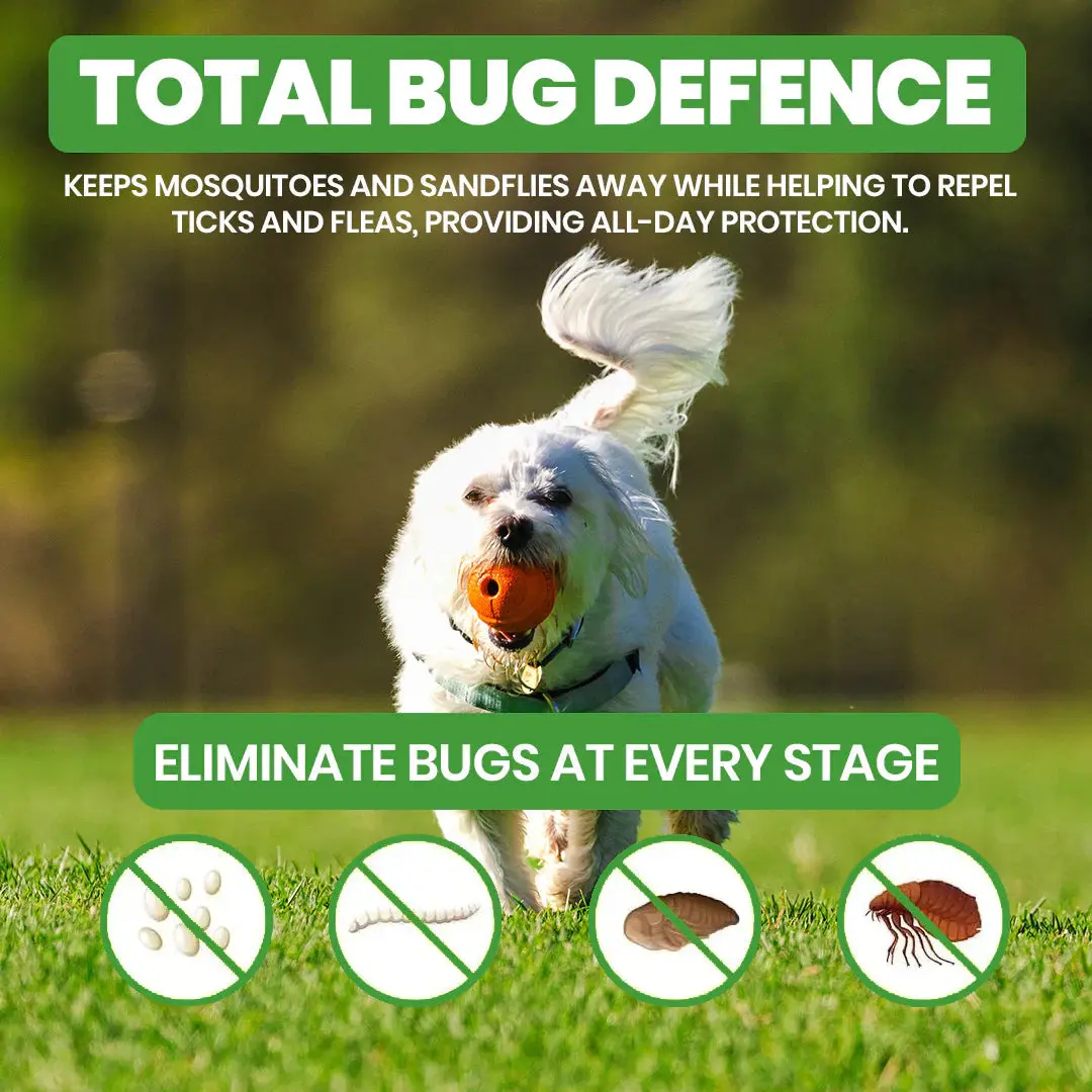 Bug Free Collar - Natural Plant-Based Repellent - Image 3