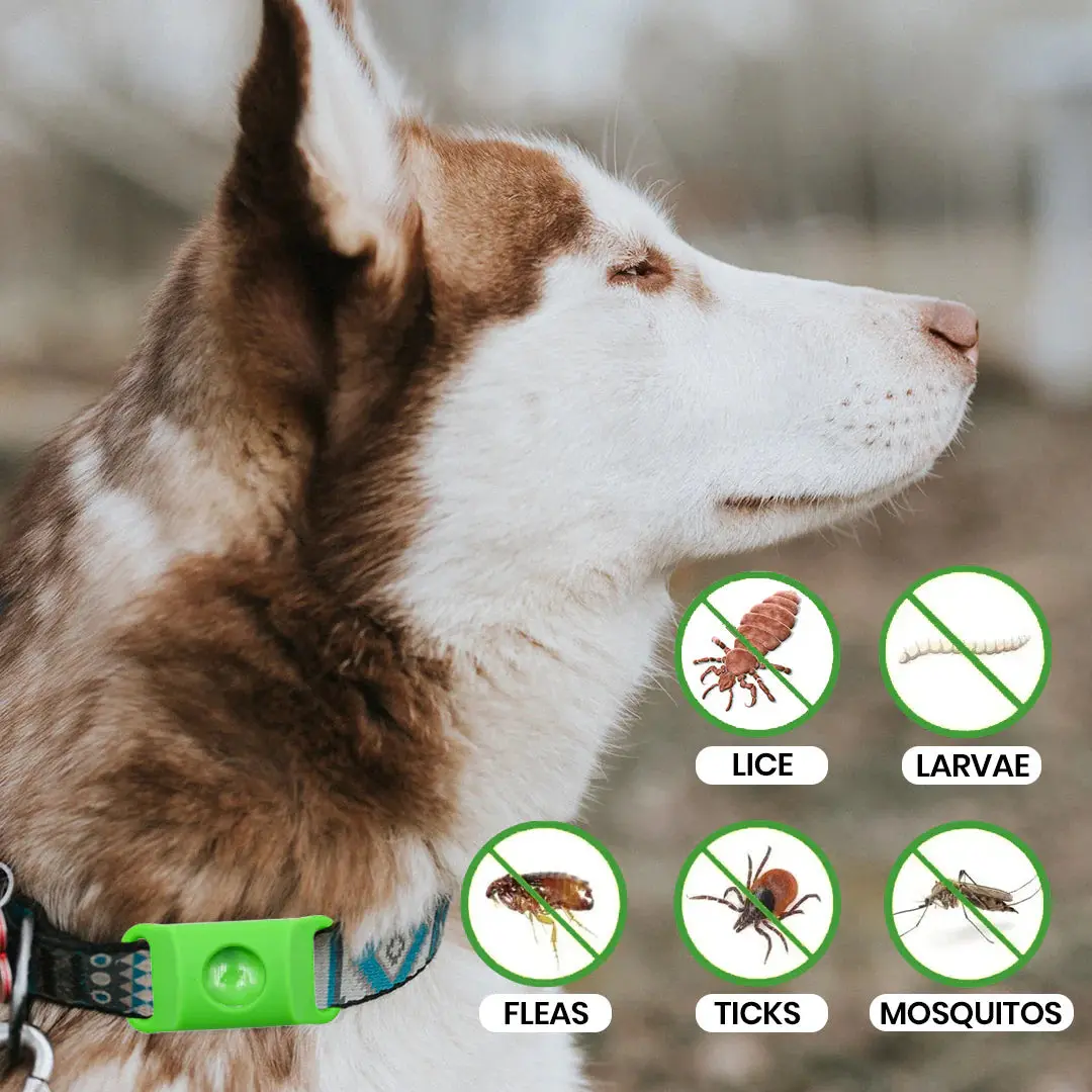 Bug Free Collar - Natural Plant-Based Repellent - Image 4