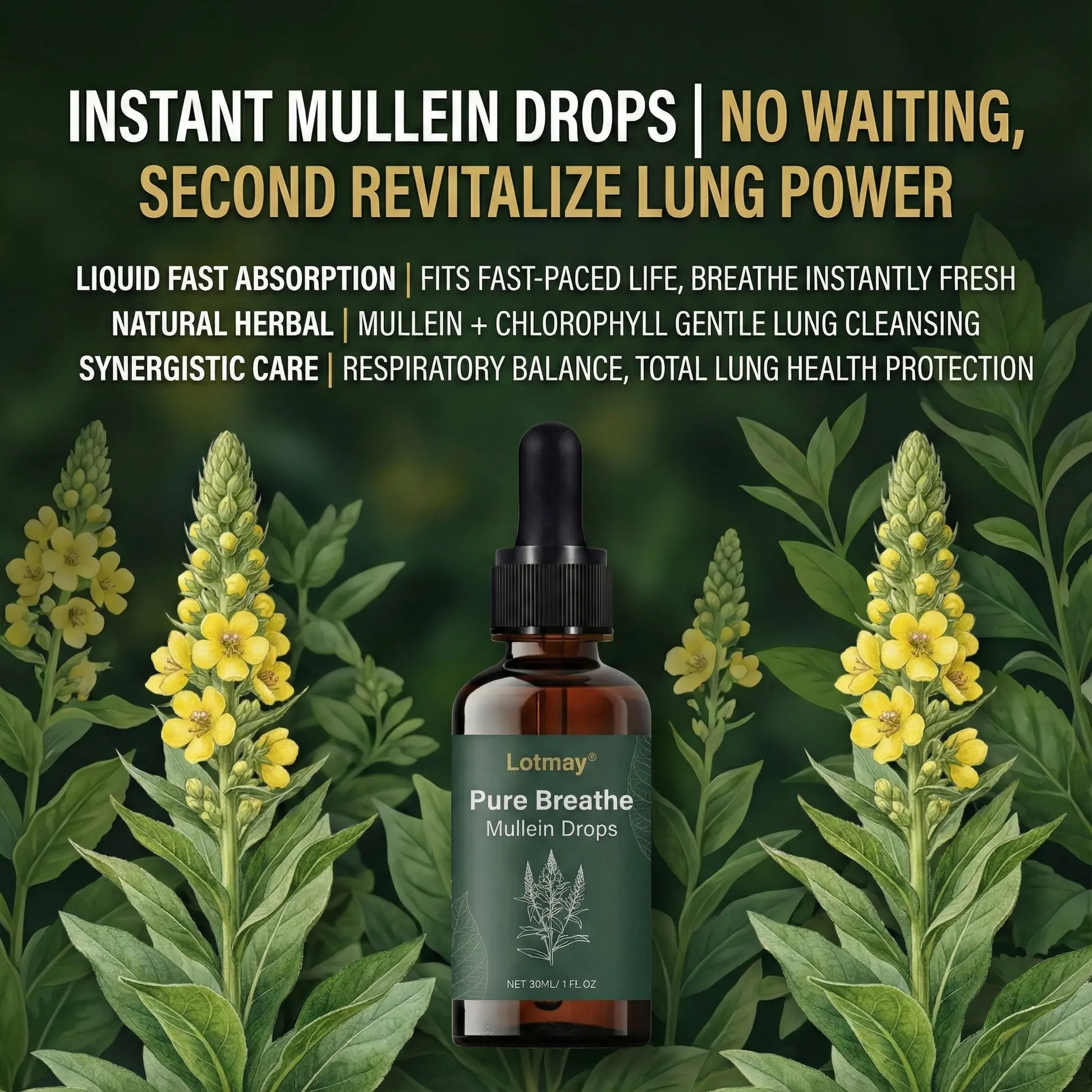 Pure Breathe Mullein Drops - Image 4