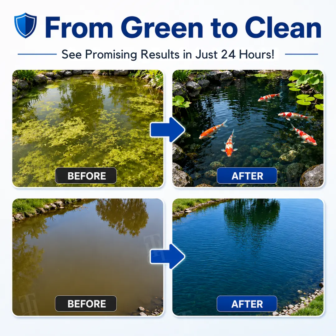 4-in-1 Aqua-Guardian Pro Powder - Image 2