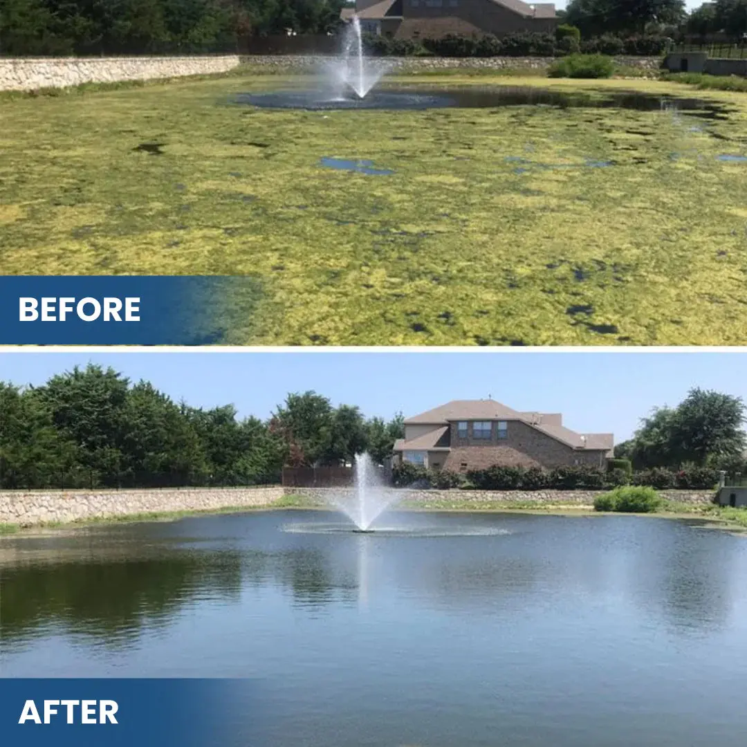 3-in-1 Green Water Fix - Image 2