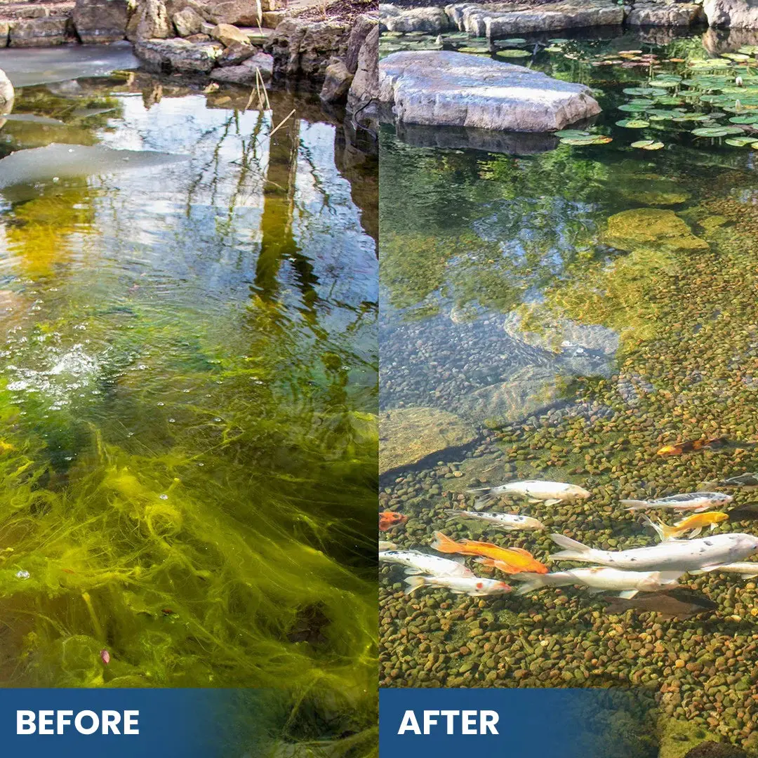 3-in-1 Green Water Fix - Image 4