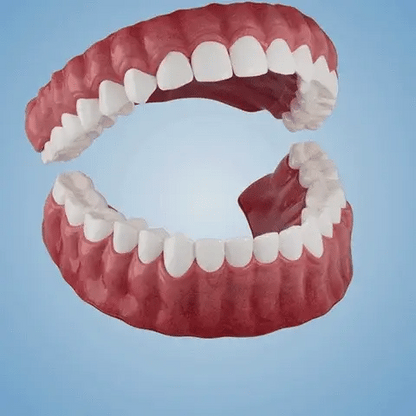 Full Denture with Strong Suctiond - Image 2