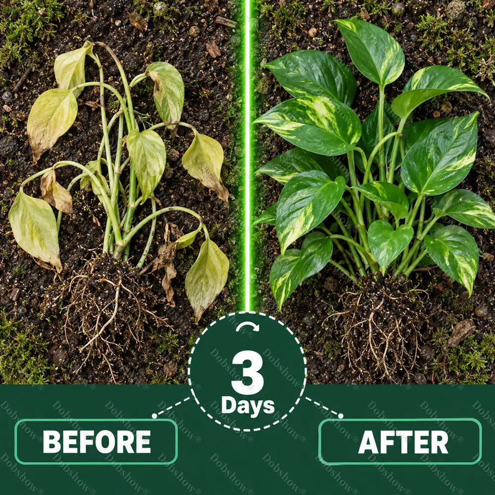 Plant Fertilizer Liquid Plant Food Concentrate - Image 5