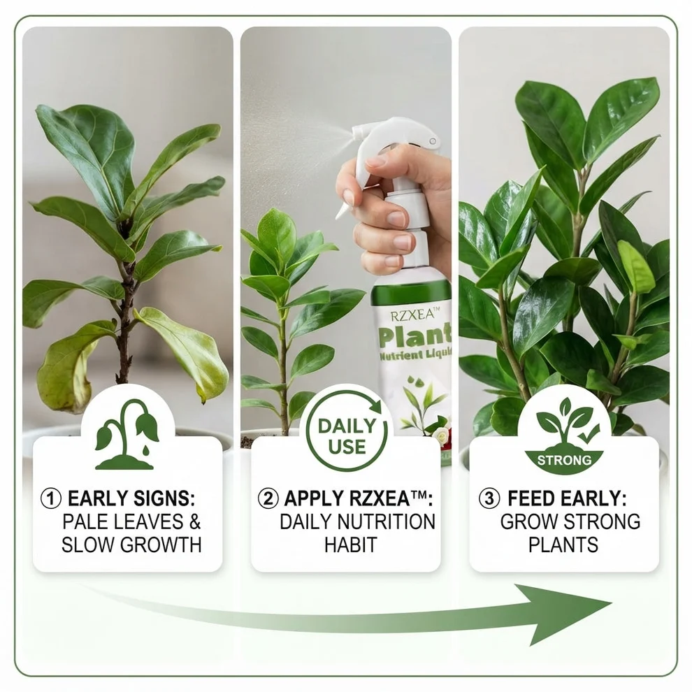 Ready-to-Use Plant Nutrient Solution - Image 3