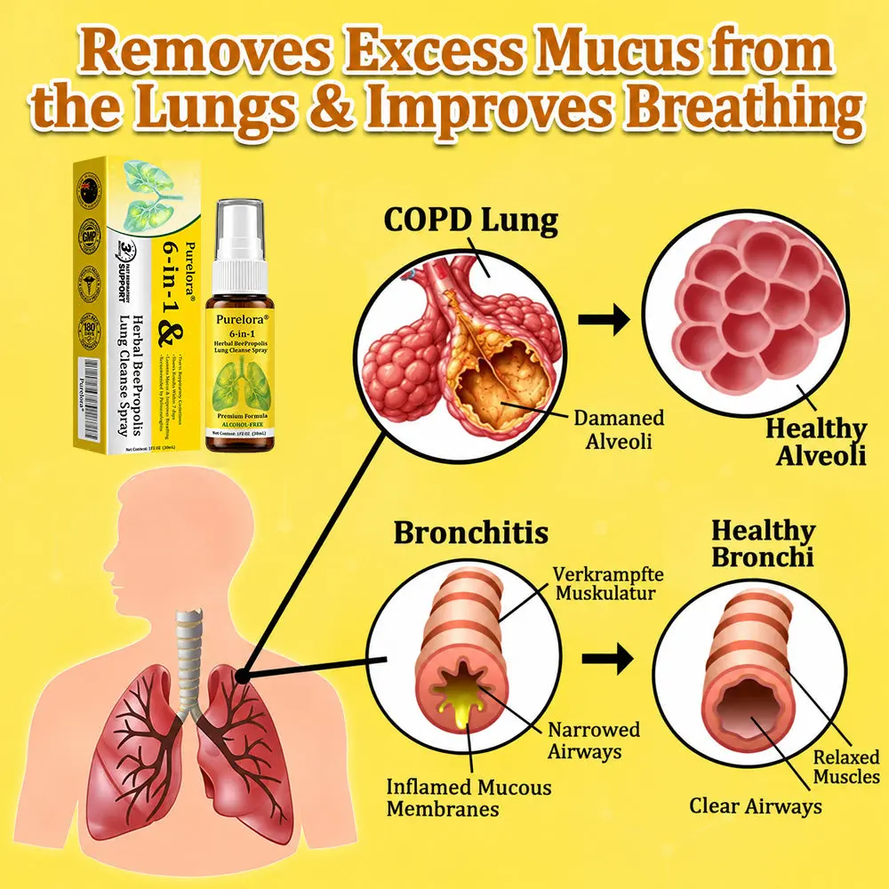 6-in-1 Herbal BeePropolis Spray - Image 7