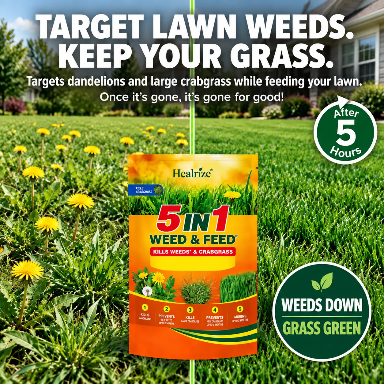 5-in-1 Weed & Feed | Fast-Acting Dual-Action Granules for Stubborn Lawn Weeds & a Greener-Looking Lawn - Image 4