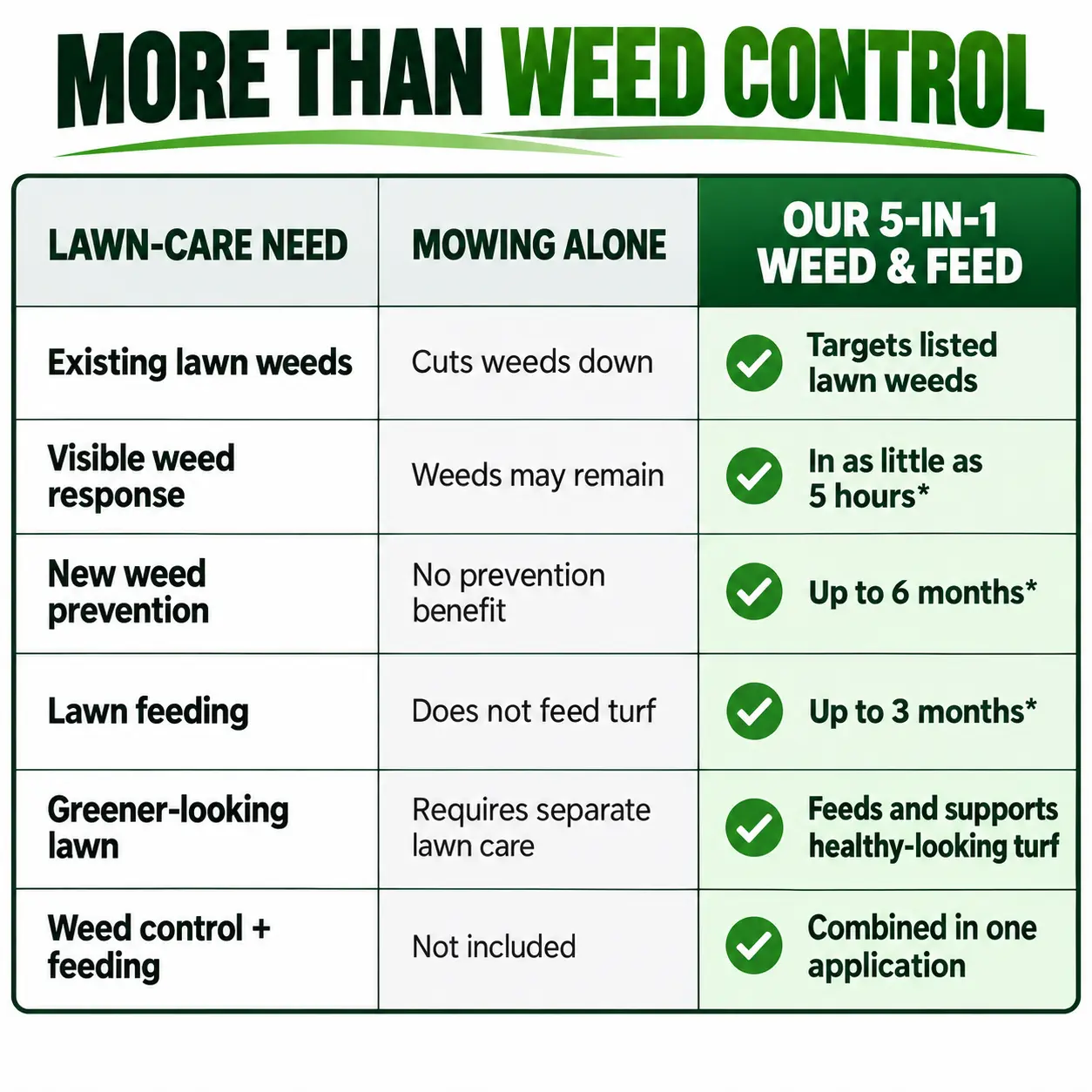 5-in-1 Weed & Feed | Fast-Acting Dual-Action Granules for Stubborn Lawn Weeds & a Greener-Looking Lawn - Image 8